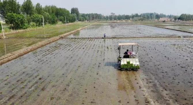 青岛市即墨区:支部领办合作社 蹚出致富新路子